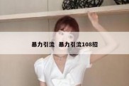 暴力引流  暴力引流108招