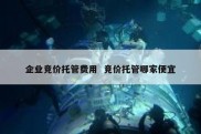 企业竞价托管费用  竞价托管哪家便宜
