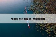 文案号怎么变现的  文案号图片