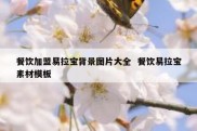 餐饮加盟易拉宝背景图片大全  餐饮易拉宝素材模板