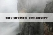 有名竞价托管的价格  竞价托管哪家便宜