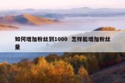 如何增加粉丝到1000  怎样能增加粉丝量