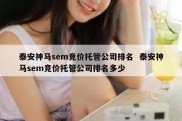 泰安神马sem竞价托管公司排名  泰安神马sem竞价托管公司排名多少