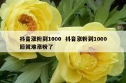 抖音涨粉到1000  抖音涨粉到1000后就难涨粉了