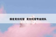 保定竞价托管  竞价托管专业团队
