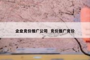 企业竞价推广公司  竞价推广竞价