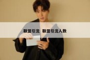 联盟引流  联盟引流人数