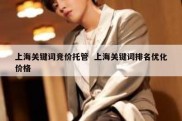 上海关键词竞价托管  上海关键词排名优化价格