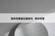 竞价托管选亿驱动力  竞价托管