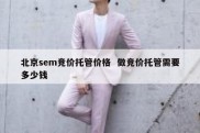 北京sem竞价托管价格  做竞价托管需要多少钱