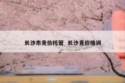 长沙市竞价托管  长沙竞价培训