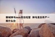 聊城神马sem竞价托管  神马竞价开户一般什么价