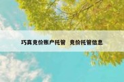 巧真竞价账户托管  竞价托管信息