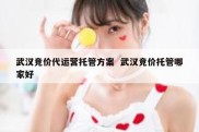 武汉竞价代运营托管方案  武汉竞价托管哪家好