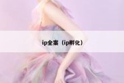 ip全案（ip孵化）