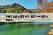 专业百度竞价托管公司  百度sem竞价托管公司