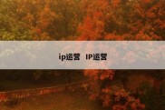 ip运营  IP运营