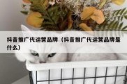 抖音推广代运营品牌（抖音推广代运营品牌是什么）