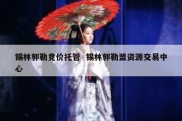 锡林郭勒竞价托管  锡林郭勒盟资源交易中心