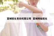 宣城优化竞价托管公司  宣城网站优化