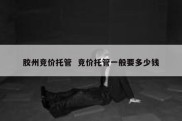 胶州竞价托管  竞价托管一般要多少钱