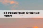 樟木头镇抖音快手代运营  快手抖音代运营 收费标准
