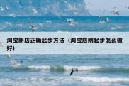 淘宝新店正确起步方法（淘宝店刚起步怎么做好）