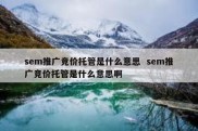 sem推广竞价托管是什么意思  sem推广竞价托管是什么意思啊