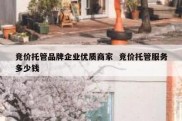 竞价托管品牌企业优质商家  竞价托管服务多少钱