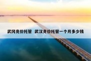 武冈竞价托管  武汉竞价托管一个月多少钱