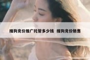 搜狗竞价推广托管多少钱  搜狗竞价销售