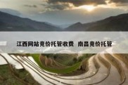 江西网站竞价托管收费  南昌竞价托管