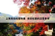 上海竞价托管效果  竞价托管的注意事项