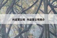 代运营公司  代运营公司简介