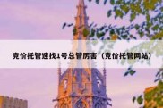 竞价托管速找1号总管厉害（竞价托管网站）