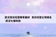 武汉竞价托管哪家最好  竞价托管公司排名 武汉七维科技