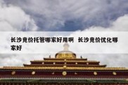 长沙竞价托管哪家好用啊  长沙竞价优化哪家好