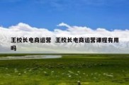 王校长电商运营  王校长电商运营课程有用吗