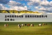 孟州百度竞价托管  百度竞价托管首荐1号总管 放心