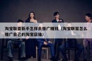 淘宝联盟新手怎样去推广赚钱（淘宝联盟怎么推广自己的淘宝店铺）