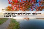 百度竞价托管一月多少钱合适呢（百度sem竞价托管公司）