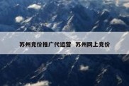 苏州竞价推广代运营  苏州网上竞价