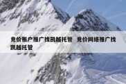 竞价账户推广找凯越托管  竞价网络推广找凯越托管