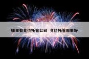 哪里有竞价托管公司  竞价托管那里好