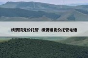 横沥镇竞价托管  横沥镇竞价托管电话