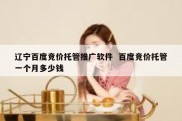 辽宁百度竞价托管推广软件  百度竞价托管一个月多少钱