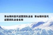 茶山镇抖音代运营团队企业  茶山镇抖音代运营团队企业名称
