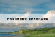 广州竞价外包托管  竞价外包托管费用