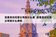 百度竞价托管公司有什么用  百度竞价托管公司有什么用吗