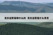 竞价运营是做什么的  竞价运营是什么意思